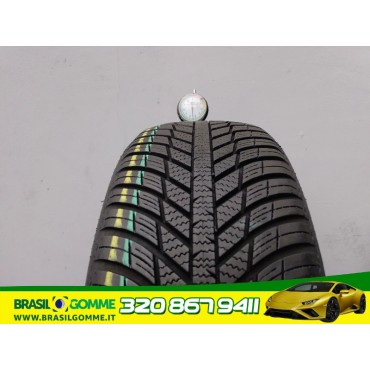 NEXEN 205/55/16 - 91 H 1824