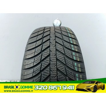 NEXEN 225/55/17 - 101 V 3620